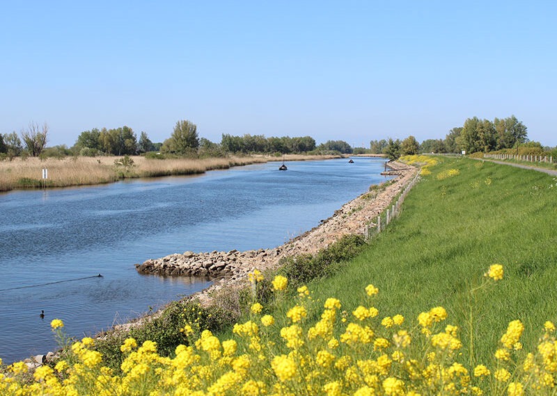 Zwemmen in natuurwater