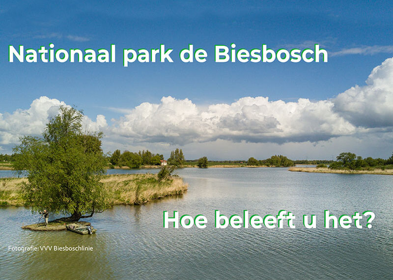 Denk mee over de toekomst van…