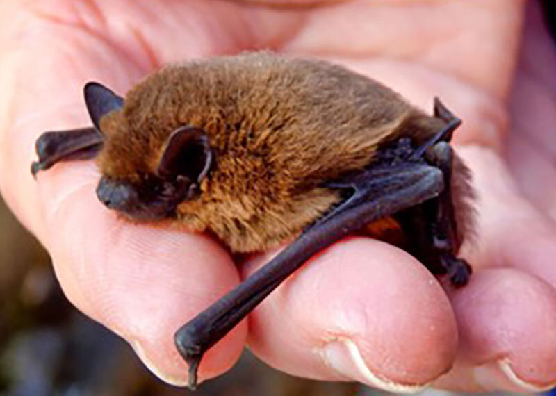 Oproep: zoek mee naar nieuwe verblijfplaatsen…