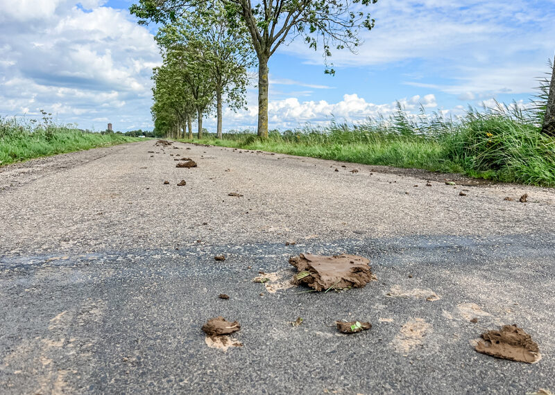 Houd rekening met modder op de…